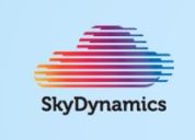 ИТ компания SkyDynamics